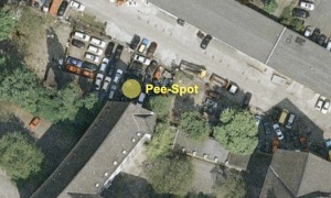Pee-Spot